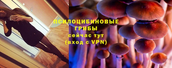 синтетический гашиш Алексеевка