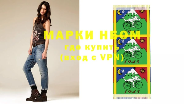 apvp Алзамай