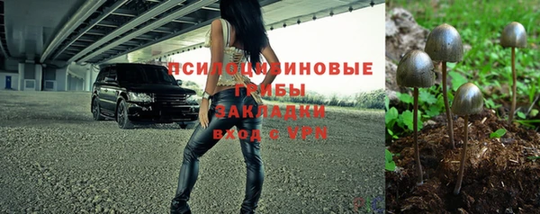 apvp Алексин