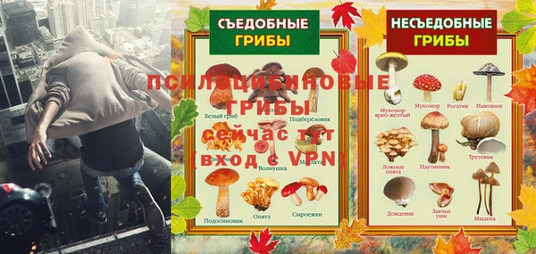 apvp Алексин