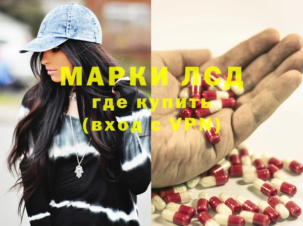 apvp Алзамай