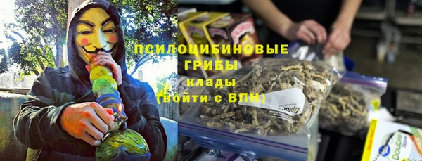 синтетический гашиш Алексеевка