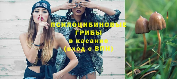 apvp Алексин