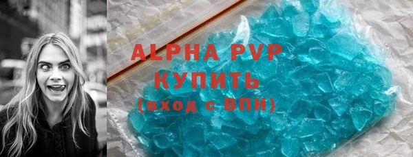 apvp Алзамай