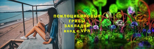 apvp Алзамай
